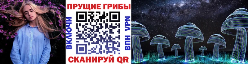 Псилоцибиновые грибы Psilocybe  купить  цена  OMG ONION  Звенигово 